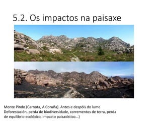 5.2. Os impactos na paisaxe
Monte Pindo (Carnota, A Coruña). Antes e despóis do lume
Deforestación, perda de biodiversidade, corrementos de terra, perda
de equilibrio ecolóxico, impacto paisaxístico...)
 