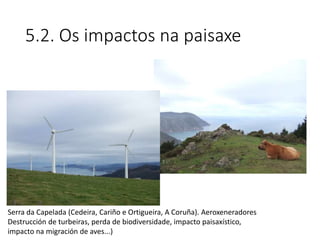 5.2. Os impactos na paisaxe
Serra da Capelada (Cedeira, Cariño e Ortigueira, A Coruña). Aeroxeneradores
Destrucción de turbeiras, perda de biodiversidade, impacto paisaxístico,
impacto na migración de aves...)
 