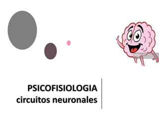 PSICOFISIOLOGIA
circuitos neuronales
 