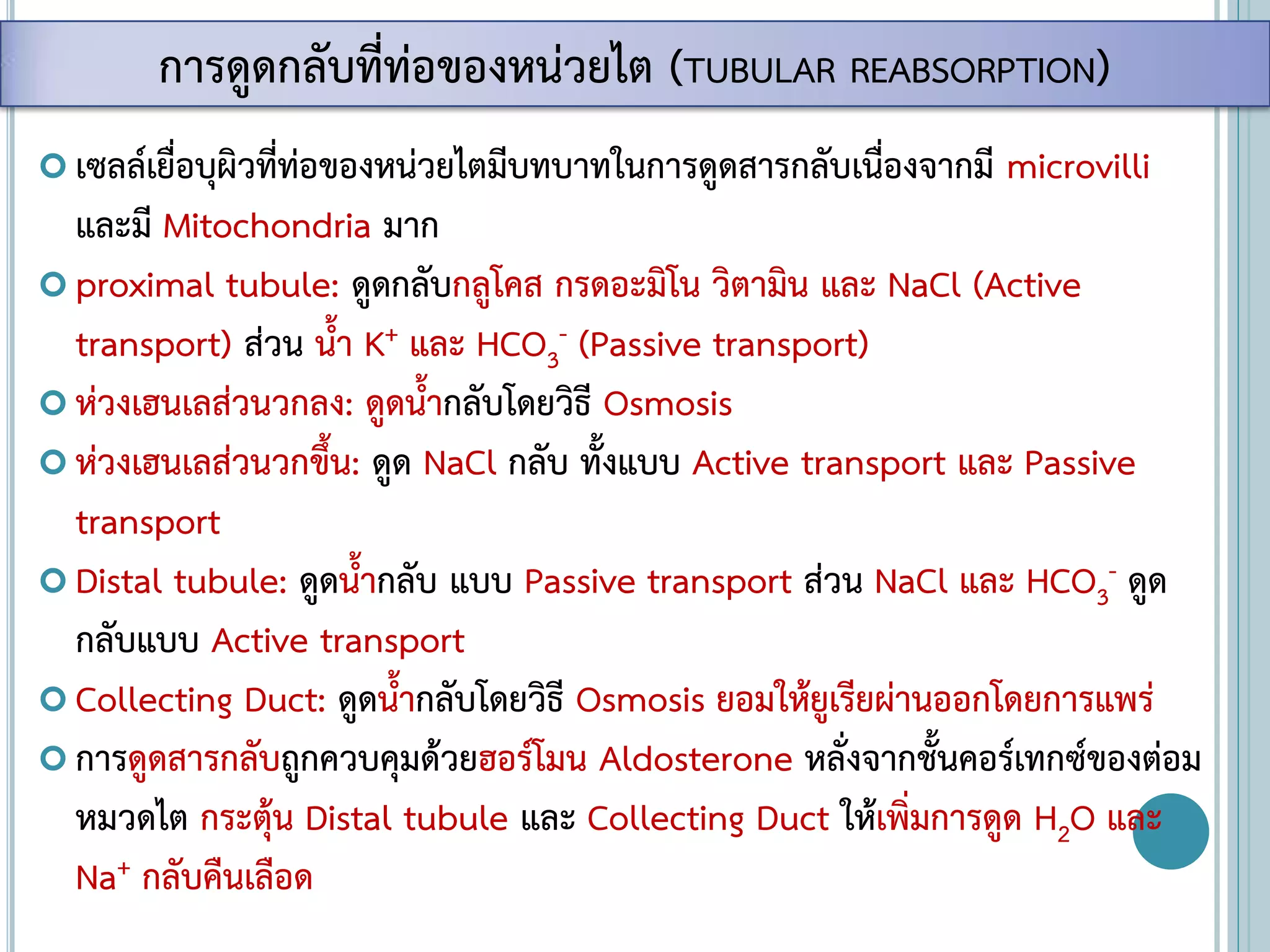  เซลล์เยื่อบุผิวที่ท่อของหน่วยไตมีบทบาทในการดูดสารกลับเนื่องจากมี microvilli
และมี Mitochondria มาก
 proximal tubule: ดูดกลับกลูโคส กรดอะมิโน วิตามิน และ NaCl (Active
transport) ส่วน น้า K+ และ HCO3
- (Passive transport)
 ห่วงเฮนเลส่วนวกลง: ดูดน้ากลับโดยวิธี Osmosis
 ห่วงเฮนเลส่วนวกขึ้น: ดูด NaCl กลับ ทั้งแบบ Active transport และ Passive
transport
 Distal tubule: ดูดน้ากลับ แบบ Passive transport ส่วน NaCl และ HCO3
- ดูด
กลับแบบ Active transport
 Collecting Duct: ดูดน้ากลับโดยวิธี Osmosis ยอมให้ยูเรียผ่านออกโดยการแพร่
 การดูดสารกลับถูกควบคุมด้วยฮอร์โมน Aldosterone หลั่งจากชั้นคอร์เทกซ์ของต่อม
หมวดไต กระตุ้น Distal tubule และ Collecting Duct ให้เพิ่มการดูด H2O และ
Na+ กลับคืนเลือด
การดูดกลับที่ท่อของหน่วยไต (TUBULAR REABSORPTION)
 