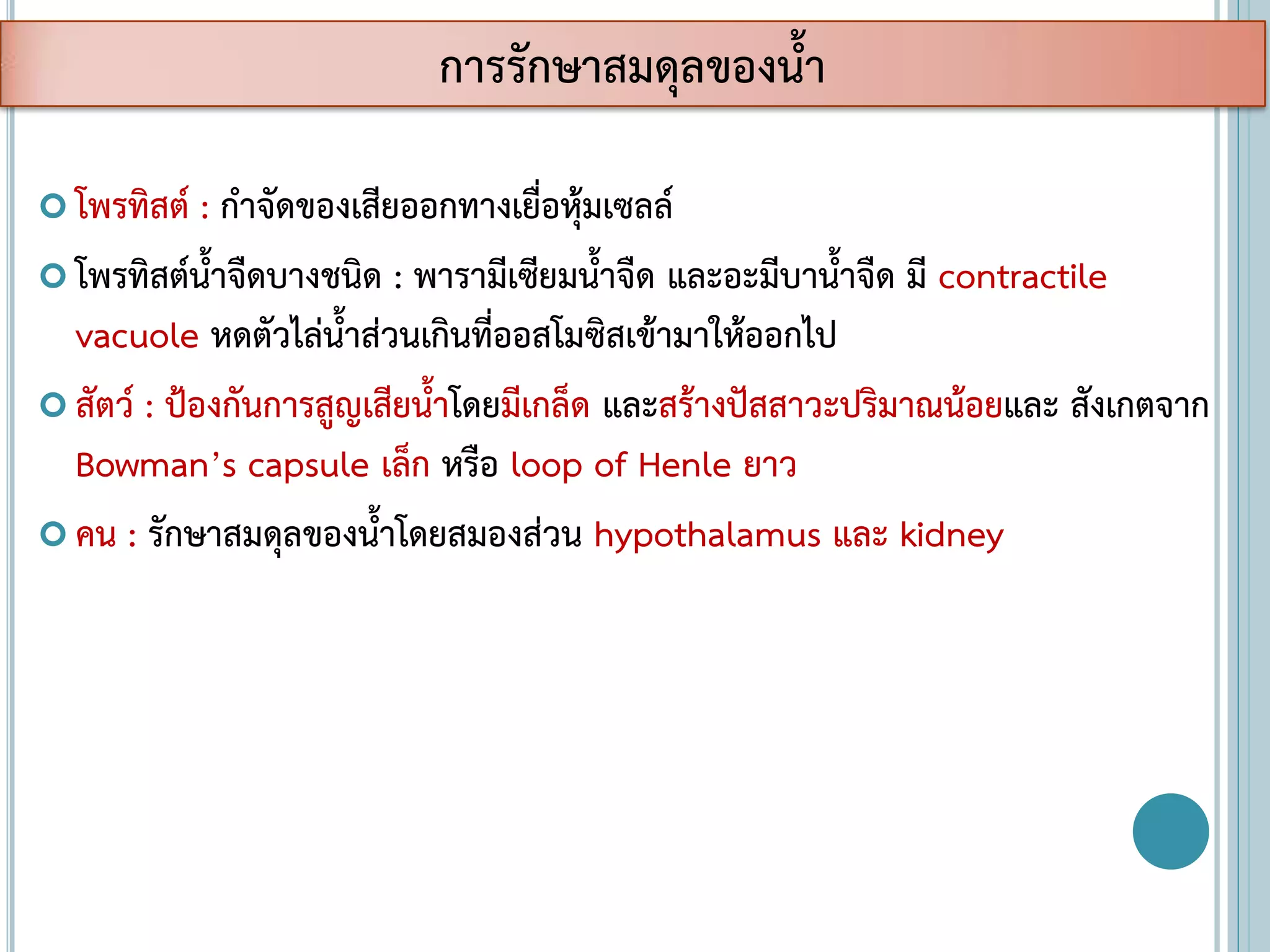  โพรทิสต์ : กาจัดของเสียออกทางเยื่อหุ้มเซลล์
 โพรทิสต์น้าจืดบางชนิด : พารามีเซียมน้าจืด และอะมีบาน้าจืด มี contractile
vacuole หดตัวไล่น้าส่วนเกินที่ออสโมซิสเข้ามาให้ออกไป
 สัตว์ : ป้องกันการสูญเสียน้าโดยมีเกล็ด และสร้างปัสสาวะปริมาณน้อยและ สังเกตจาก
Bowman’s capsule เล็ก หรือ loop of Henle ยาว
 คน : รักษาสมดุลของน้าโดยสมองส่วน hypothalamus และ kidney
การรักษาสมดุลของน้า
 