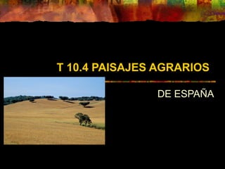 T 10.4 PAISAJES AGRARIOS
DE ESPAÑA
 