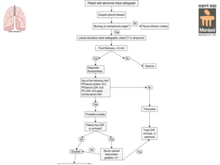 Department of Pulmonary Medicine
 