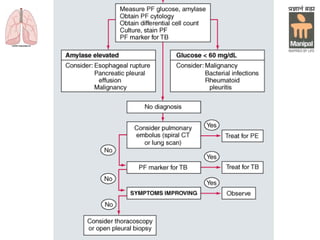 Department of Pulmonary Medicine
 