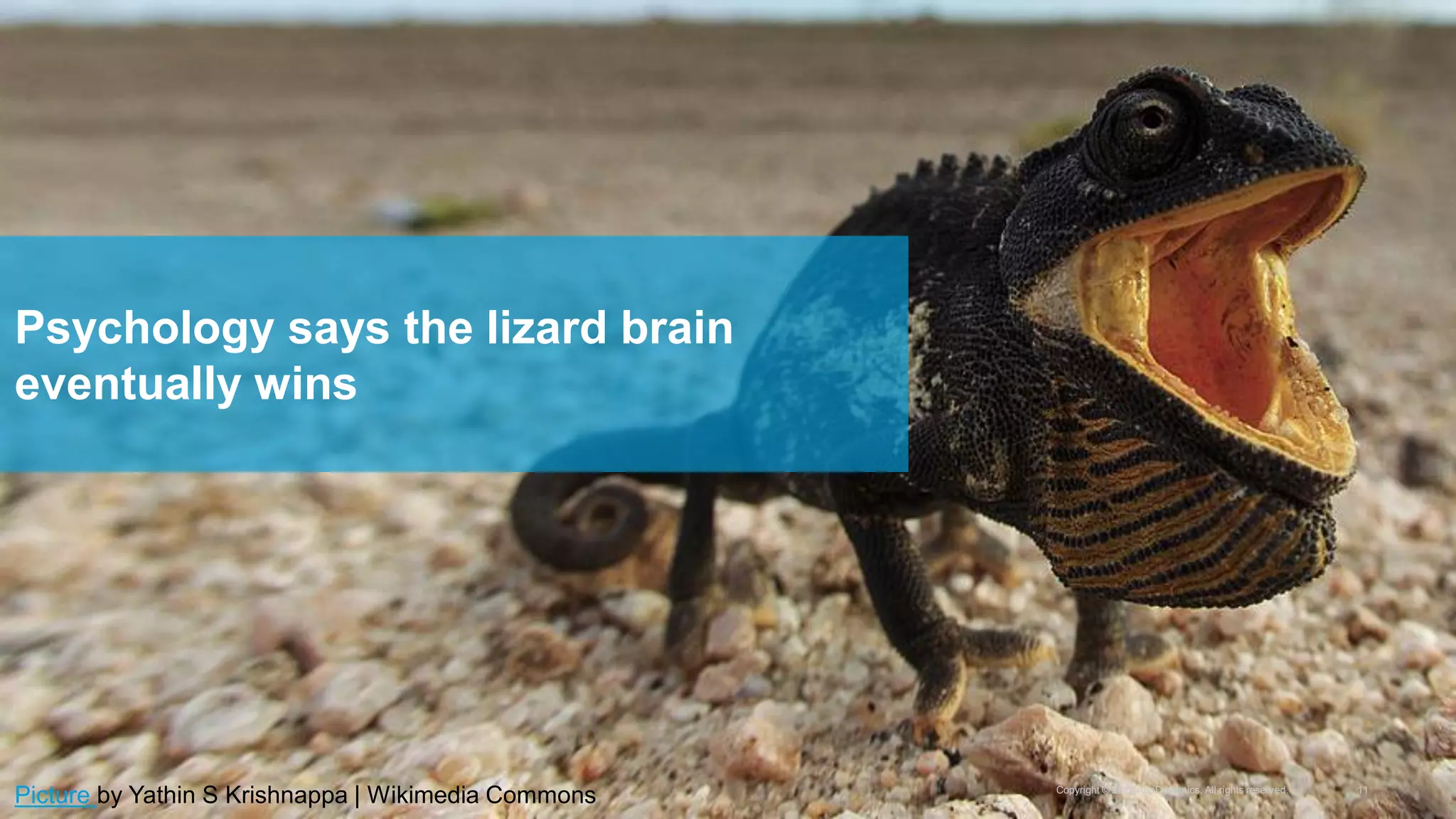 Copyright © 2016 AppDynamics. All rights reserved. 11
Psychology says the lizard brain
eventually wins
Picture by Yathin S Krishnappa | Wikimedia Commons
 