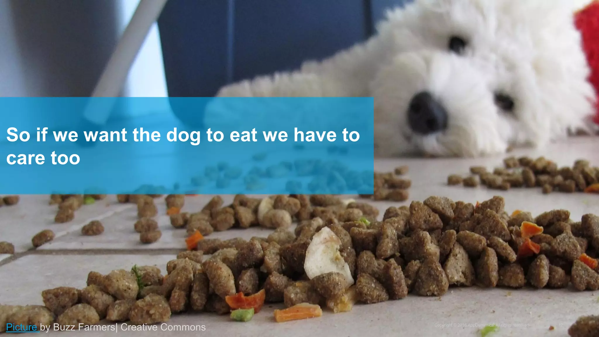Copyright © 2016 AppDynamics. All rights reserved. 12
So if we want the dog to eat we have to
care too
Picture by Buzz Farmers| Creative Commons
 