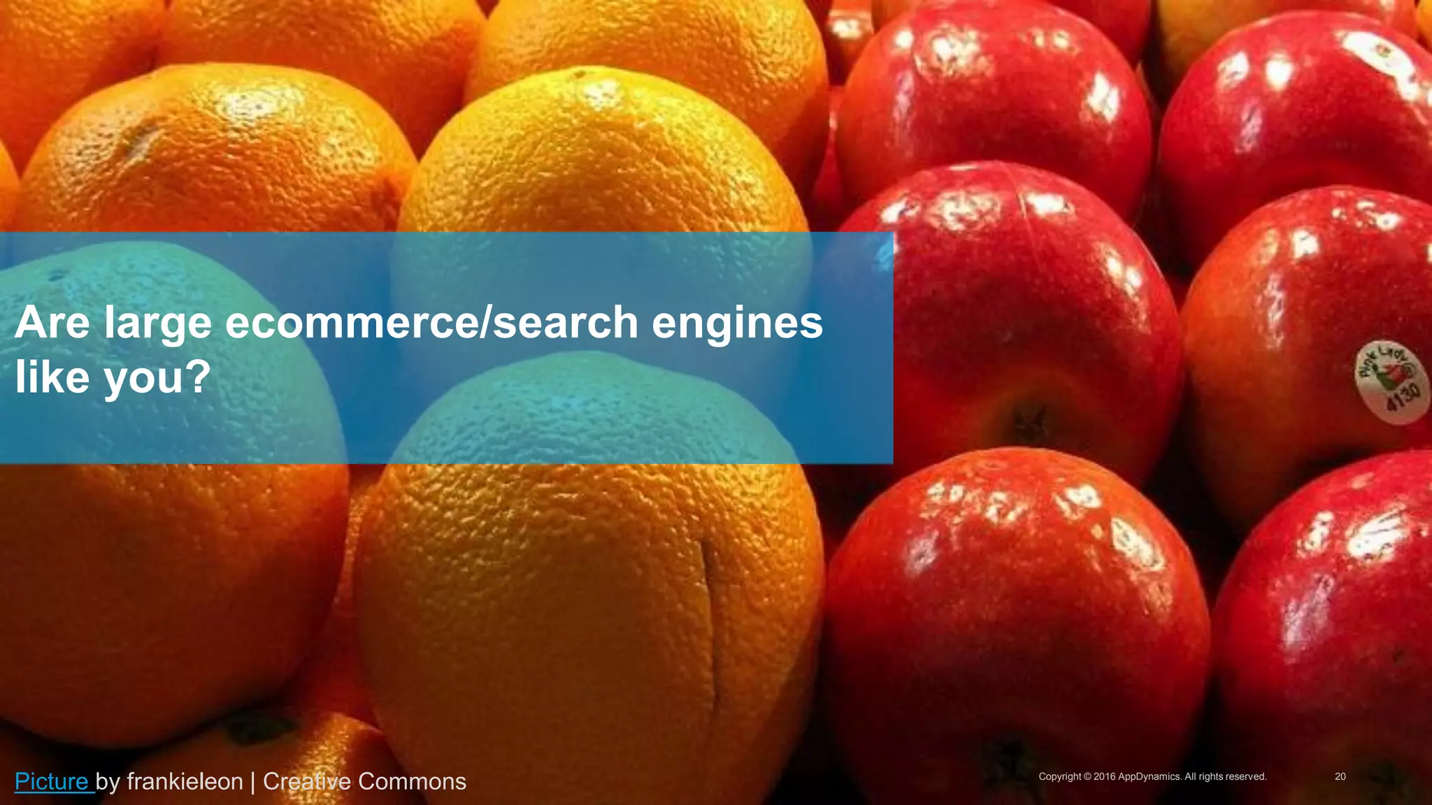 Copyright © 2016 AppDynamics. All rights reserved. 20
Are large ecommerce/search engines
like you?
Picture by frankieleon | Creative Commons
 