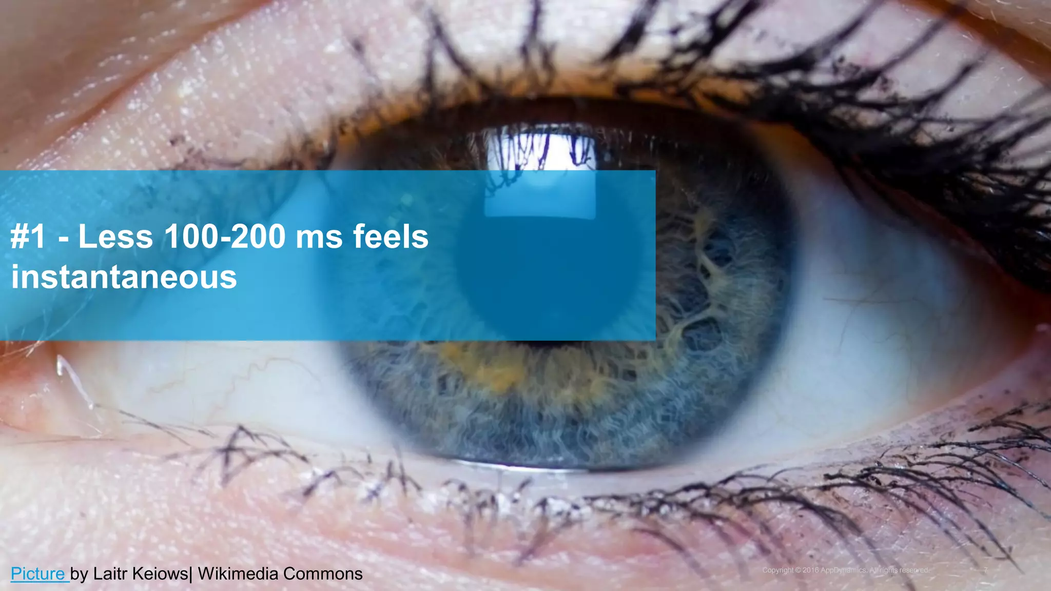 Copyright © 2016 AppDynamics. All rights reserved. 7
#1 - Less 100-200 ms feels
instantaneous
Picture by Laitr Keiows| Wikimedia Commons
 