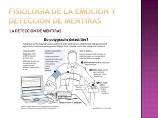 LA DETECCION DE MENTIRAS

 