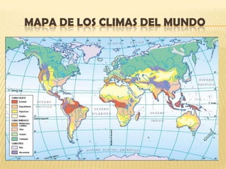 Las mesetas o tierras llanas elevadas, como la Meseta de Mongolia y la Meseta de Brasil (América).