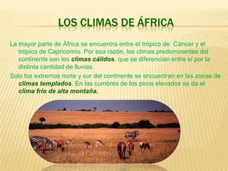 Su hidrografíaLos ríos son corrientes continuas de agua que discurren por un cauce. Su longitud y su caudal (es decir, la cantidad de agua que llevan en un punto  y en un momento dado) son variables.En cuanto a la longitud, solo hay dos ríos con más de seis mil kilómetros: el Nilo (6695 Km) y el Amazonas (6280 Km). Los siguientes en longitud son el Yangtsé (5800 Km), el Obi (5410 Km) y el Huang He (4845 Km).