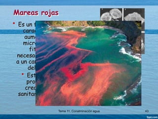 T11-Contaminacion_aguas.ppt