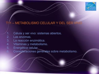 T11 – METABOLISMO CELULAR Y DEL SER VIVO.
1. Célula y ser vivo: sistemas abiertos.
2. Las enzimas.
3. La reacción enzimática.
4. Vitaminas y metabolismo.
5. Energética celular.
6. Consideraciones generales sobre metabolismo.
 