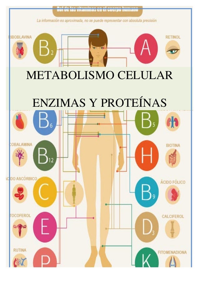Tiene más preguntas sobre esquema general metabolismo?