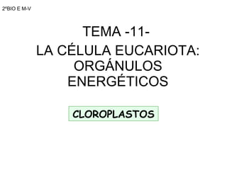 2ºBIO E M-V TEMA -11-  LA CÉLULA EUCARIOTA: ORGÁNULOS ENERGÉTICOS CLOROPLASTOS 