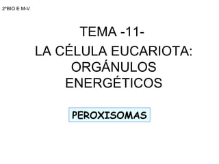 2ºBIO E M-V TEMA -11-  LA CÉLULA EUCARIOTA: ORGÁNULOS ENERGÉTICOS PEROXISOMAS 