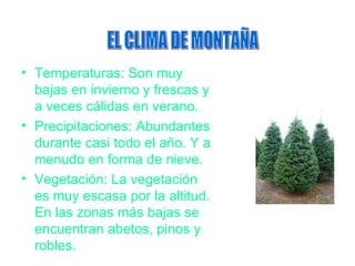 Temperaturas: Son muy bajas en invierno y frescas y a veces cálidas en verano. Precipitaciones: Abundantes durante casi todo el año. Y a menudo en forma de nieve. Vegetación: La vegetación es muy escasa por la altitud. En las zonas más bajas se encuentran abetos, pinos y robles. EL CLIMA DE MONTAÑA 