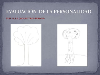 TEST H.T.P. (HOUSE-TREE-PERSON)
 