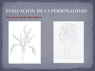 TEST H.T.P. (HOUSE-TREE-PERSON)
 