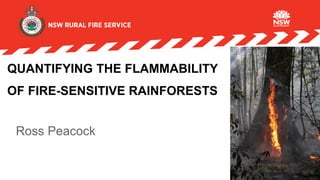 QUANTIFYING THE FLAMMABILITY
OF FIRE-SENSITIVE RAINFORESTS
Ross Peacock
 