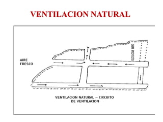 VENTILACION NATURAL
 