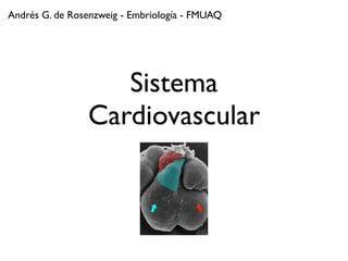 Andrés G. de Rosenzweig - Embriología - FMUAQ




                   Sistema
                Cardiovascular
 