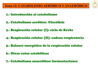 Tema 12: CATABOLISMO AERÓBICO Y ANAERÓBICO

1.- Introducción al catabolismo

2.- Catabolismo aeróbico. Glucólisis

3.- Respiración celular (I): ciclo de Krebs

4.- Respiración celular (II): cadena respiratoria

5.- Balance energético de la respiración celular

6.- Otras rutas catabólicas

7.- Catabolismo anaeróbico: fermentaciones
 