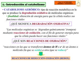 Tema 12: CATABOLISMO

1.- Introducción al catabolismo
                                                 AERÓBICO Y ANAERÓBICO




• CATABOLISMO AERÓBICO: tipo de reacción metabólica en la
que se produce la degradación oxidativa de moléculas orgánicas
   • finalidad: obtención de energía para que la célula realice sus
   funciones vitales
       ¿QUÉ SIGNIFICA DEGRADACIÓN OXIDATIVA?

  “Las moléculas orgánicas se „degradan químicamente‟ (rompen)
mediante reacciones de oxidación, con el fin de generar energía para
          que la célula pueda hacer sus funciones vitales”
         ¿QUÉ SON REACCIONES DE OXIDACIÓN?

“reacciones en las que se transfieren átomos de H o e- de un átomo o
        molécula (la que se oxida) a otra (que se reduce)”


        REACCIONES DE REDUCCIÓN-OXIDACIÓN (REDOX)
 