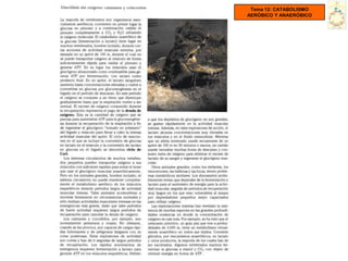 Tema 12: CATABOLISMO
AERÓBICO Y ANAERÓBICO
 