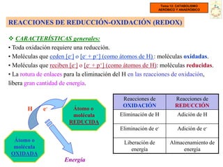 Tema 12: CATABOLISMO
                                                             AERÓBICO Y ANAERÓBICO



REACCIONES DE REDUCCIÓN-OXIDACIÓN (REDOX)

 CARACTERÍSTICAS generales:
• Toda oxidación requiere una reducción.
• Moléculas que ceden [e-] o [e- + p+] (como átomos de H) : moléculas oxidadas.
• Moléculas que reciben [e-] o [e- + p+] (como átomos de H): moléculas reducidas.
• La rotura de enlaces para la eliminación del H en las reacciones de oxidación,
libera gran cantidad de energía.

                                             Reacciones de           Reacciones de
                                             OXIDACIÓN               REDUCCIÓN
       H     e-         Átomo o
                        molécula            Eliminación de H          Adición de H
                       REDUCIDA
                                            Eliminación de e-         Adición de e-

  Átomo o                                    Liberación de        Almacenamiento de
  molécula                                      energía                energía
 OXIDADA
                      Energía
 