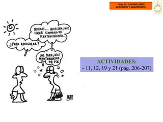 Tema 12: CATABOLISMO
               AERÓBICO Y ANAERÓBICO




       ACTIVIDADES:
- 11, 12, 19 y 21 (pág. 206-207)
 