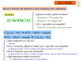 Tema 12: CATABOLISMO
                                                                 AERÓBICO Y ANAERÓBICO




REACCIONES DE REDUCCIÓN-OXIDACIÓN (REDOX)

 Ejemplos:                          • ¿Quién se oxida y quien se reduce?
                                        Na pierde 1e-  se oxida a Na+
   Cl + Na  Na+ + Cl-                  Cl gana 1e-  se reduce a Cl-
                                    • ¿El e- viaja sólo o en compañía?
                                        Viaja sólo, sino lo haría como átomo de H

C6H12O6 + 6O2  6CO2 + 6H2O + energía
6CO2 + 6H2O + energía  C6H12O6 + 6O2
  • ¿Qué compuesto es C6H12O6?
     glucosa
  • En la 1ª reacción, ¿Quién se oxida? ¿el e- viaja sólo o en compañía?
    la glucosa, pierde 12 H (se oxida) y los gana el oxígeno (se reduce)
  • En la 2ª reacción, ¿qué está ocurriendo?
    el agua pierde los 12H (se oxida) y los gana el CO2, que se reduce formando glucosa
  • ¿Qué representan ambas reacciones?
     1ª: oxidación de la glucosa; 2ª: fotosíntesis
 