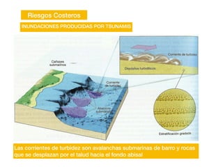 Riesgos Costeros
INUNDACIONES PRODUCIDAS POR TSUNAMIS
Las corrientes de turbidez son avalanchas submarinas de barro y rocas
que se desplazan por el talud hacia el fondo abisal
 