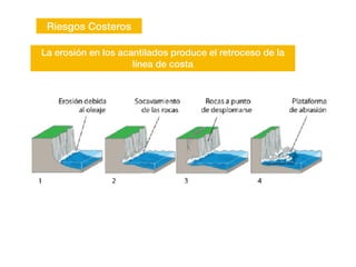 Riesgos Costeros
La erosión en los acantilados produce el retroceso de la
línea de costa
 