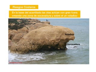 Riesgos Costeros
En la base del acantilado las olas actúan con gran fuera
creando una zona de socavadura y sobre el un voladizo
Socavadura
Voladizo
 