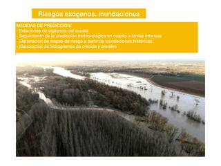 Riesgos exógenos. Inundaciones
MEDIDAS DE PREDICCIÓN:
- Estaciones de vigilancia del caudal
- Seguimiento de la predicción meteorológica en cuanto a lluvias intensas
- Elaboración de mapas de riesgo a partir de inundaciones históricas
- Elaboración de hidrogramas de crecida y anuales
 