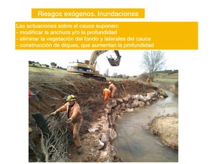 Riesgos exógenos. Inundaciones
Las actuaciones sobre el cauce suponen:
- modi
fi
car la anchura y/o la profundidad
- eliminar la vegetación del fondo y laterales del cauce
- construcción de diques, que aumentan la profundidad
 