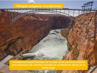 Riesgos exógenos. Inundaciones
Inundaciones experimentales: se inundan zonas de forma arti
fi
cial
para reproducir las crecidas naturales en ecosistemas donde ya no
tienen lugar
 