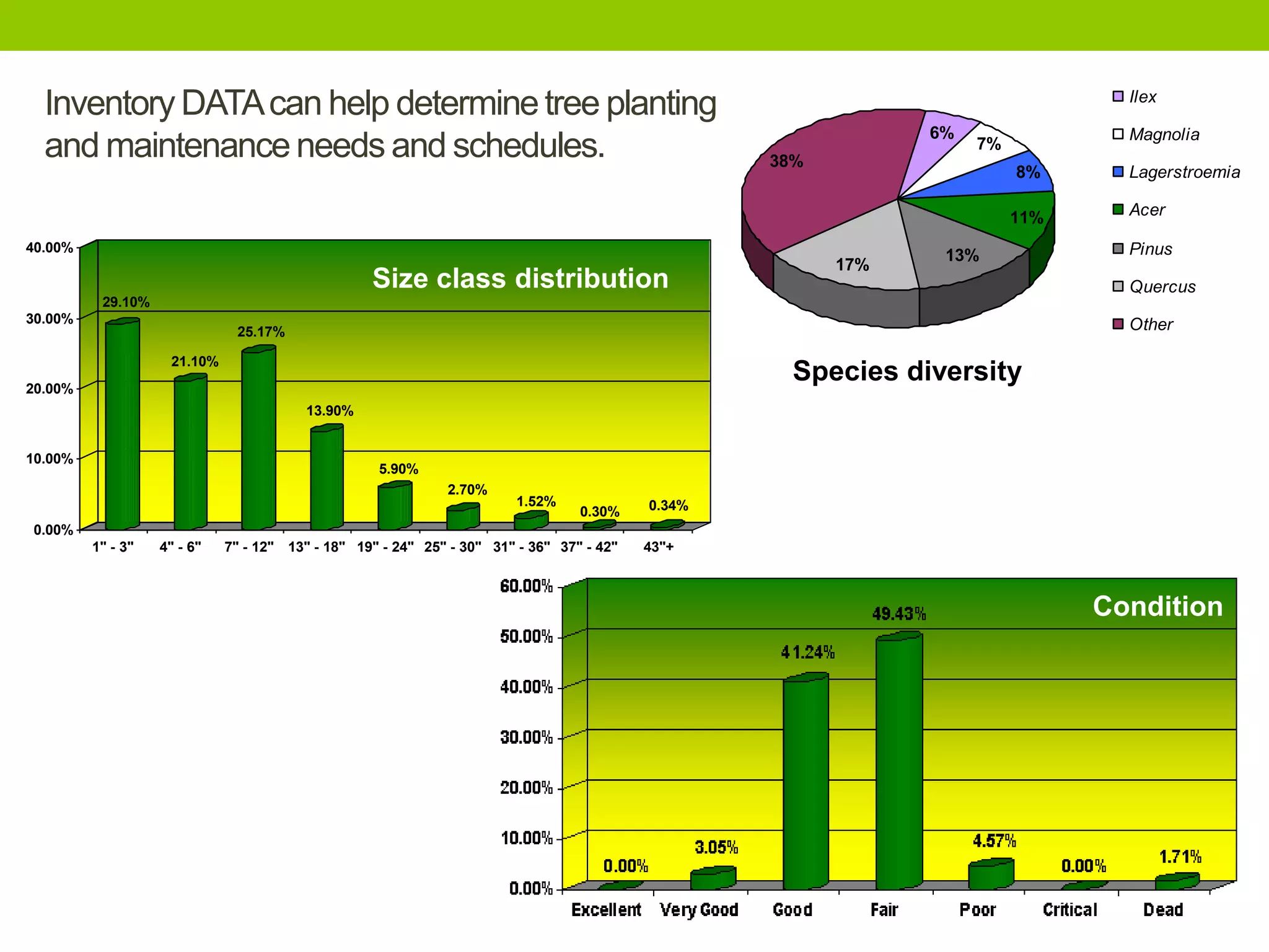 11%
8%
17%
13%
7%
38%
6%
Ilex
Magnolia
Lagerstroemia
Acer
Pinus
Quercus
Other
Inventory DATAcan help determinetree planting
and maintenance needs and schedules.
29.10%
21.10%
25.17%
13.90%
5.90%
2.70%
1.52%
0.30% 0.34%
0.00%
10.00%
20.00%
30.00%
40.00%
1" - 3" 4" - 6" 7" - 12" 13" - 18" 19" - 24" 25" - 30" 31" - 36" 37" - 42" 43"+
Size class distribution
Condition
Species diversity
 