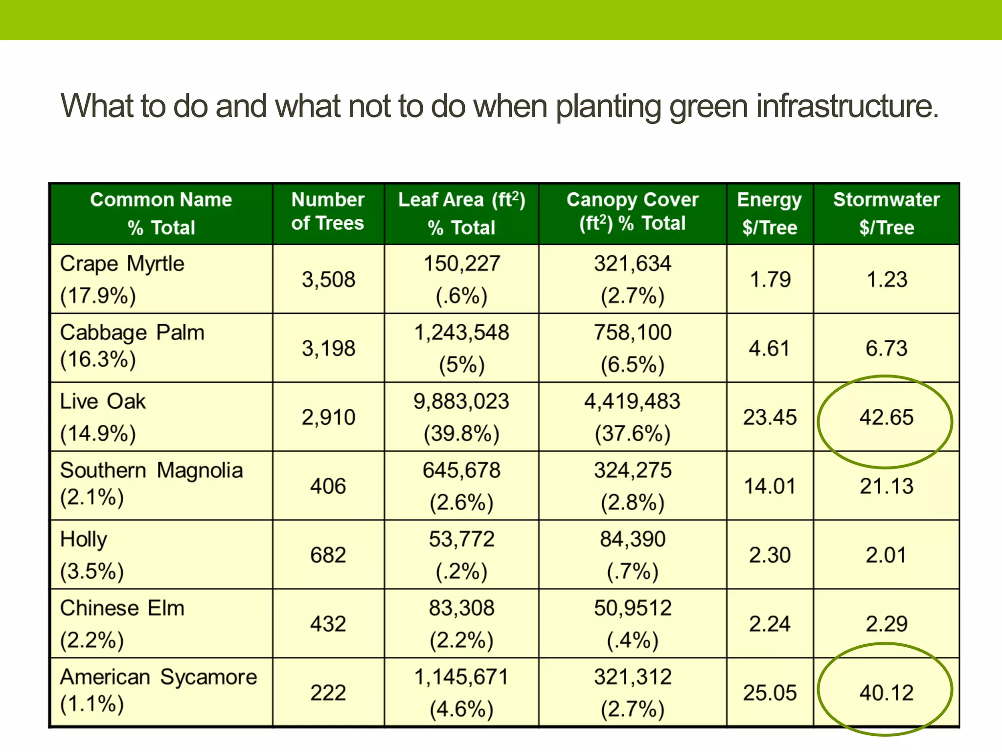 What to do and what not to do when planting green infrastructure.
• JAX Stratum here
 