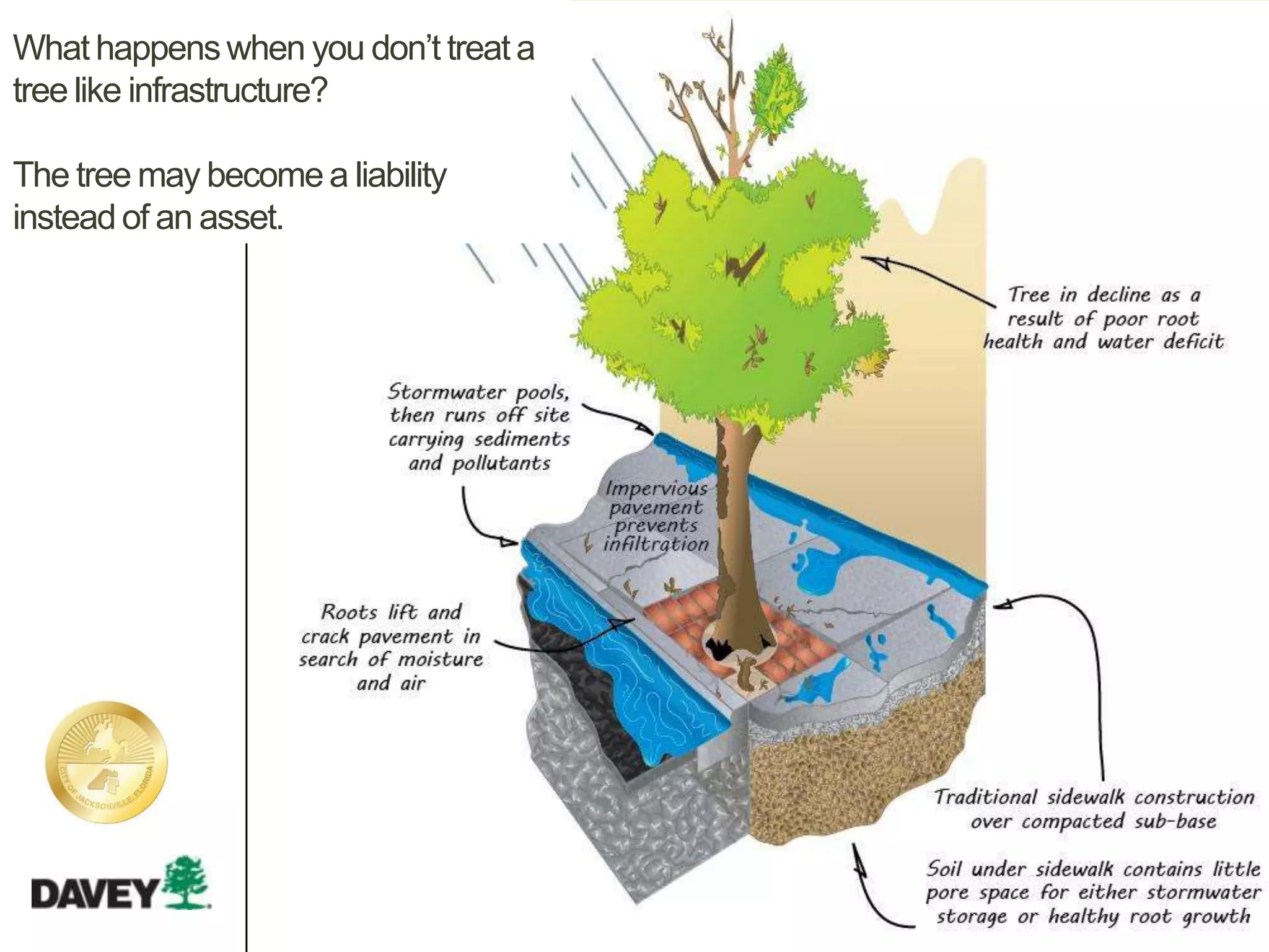 What happenswhen you don’t treat a
tree like infrastructure?
The tree may become a liability
instead of an asset.
 