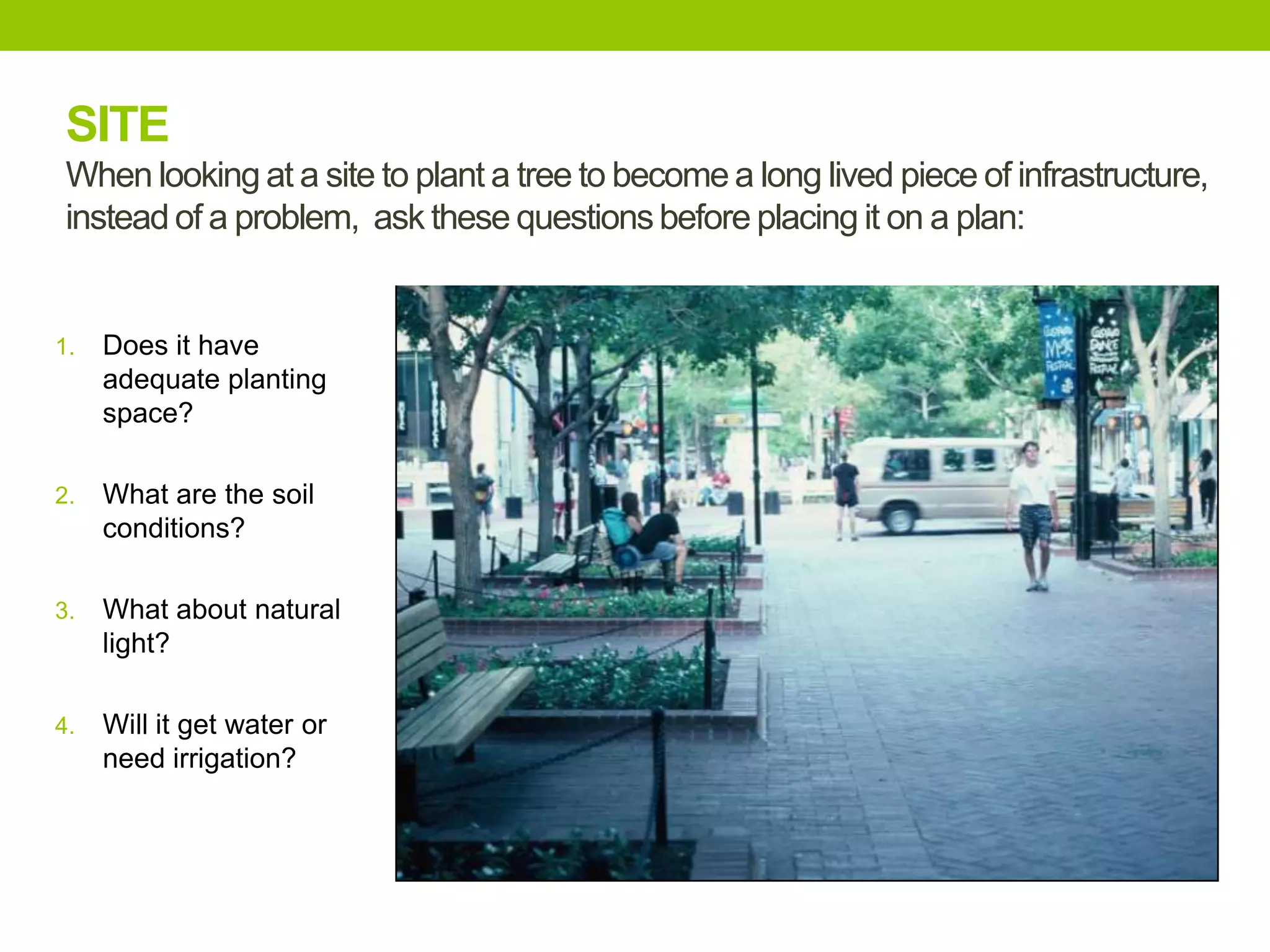 1. Does it have
adequate planting
space?
2. What are the soil
conditions?
3. What about natural
light?
4. Will it get water or
need irrigation?
SITE
When looking at a site to plant a tree to become a long lived piece of infrastructure,
instead of a problem, ask these questionsbefore placing it on a plan:
 