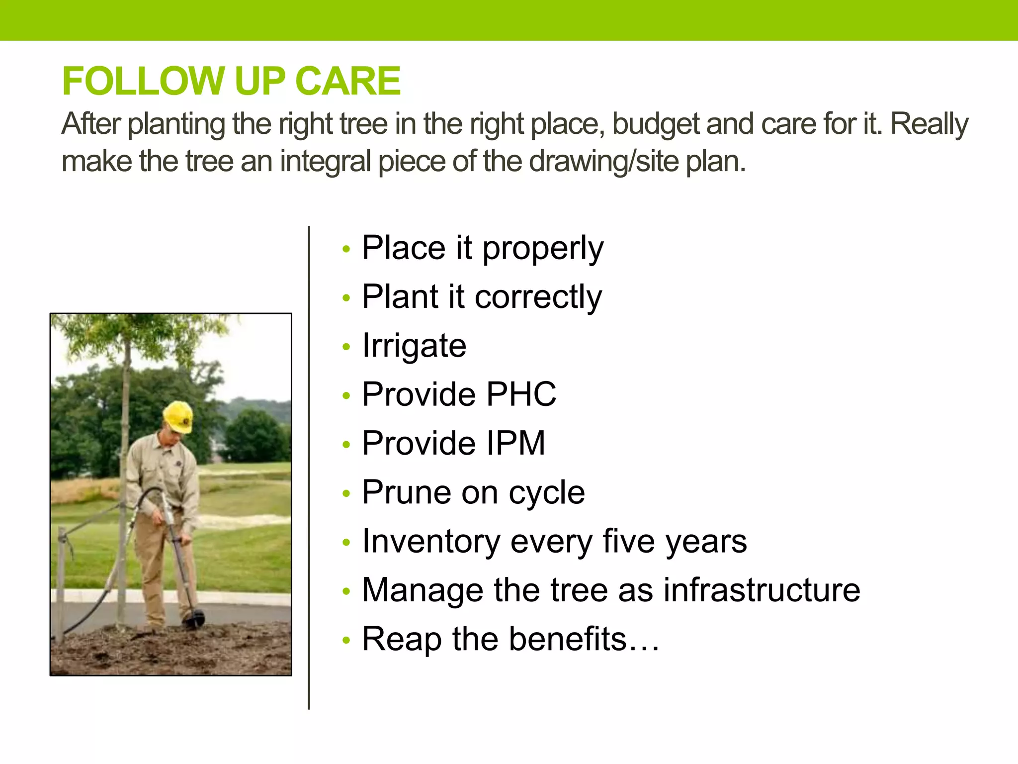 • Place it properly
• Plant it correctly
• Irrigate
• Provide PHC
• Provide IPM
• Prune on cycle
• Inventory every five years
• Manage the tree as infrastructure
• Reap the benefits…
FOLLOW UP CARE
After planting the right tree in the right place, budget and care for it. Really
make the tree an integral piece of the drawing/site plan.
 