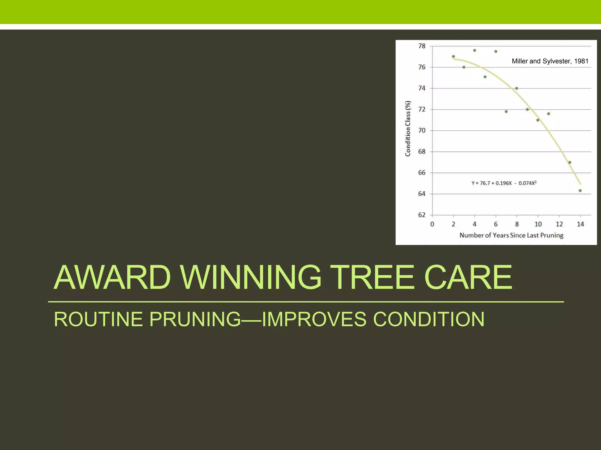AWARD WINNING TREE CARE
ROUTINE PRUNING—IMPROVES CONDITION
Miller and Sylvester, 1981
 