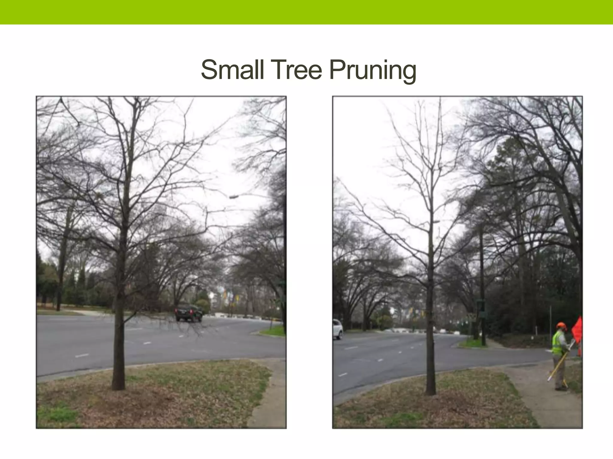 Small Tree Pruning
 