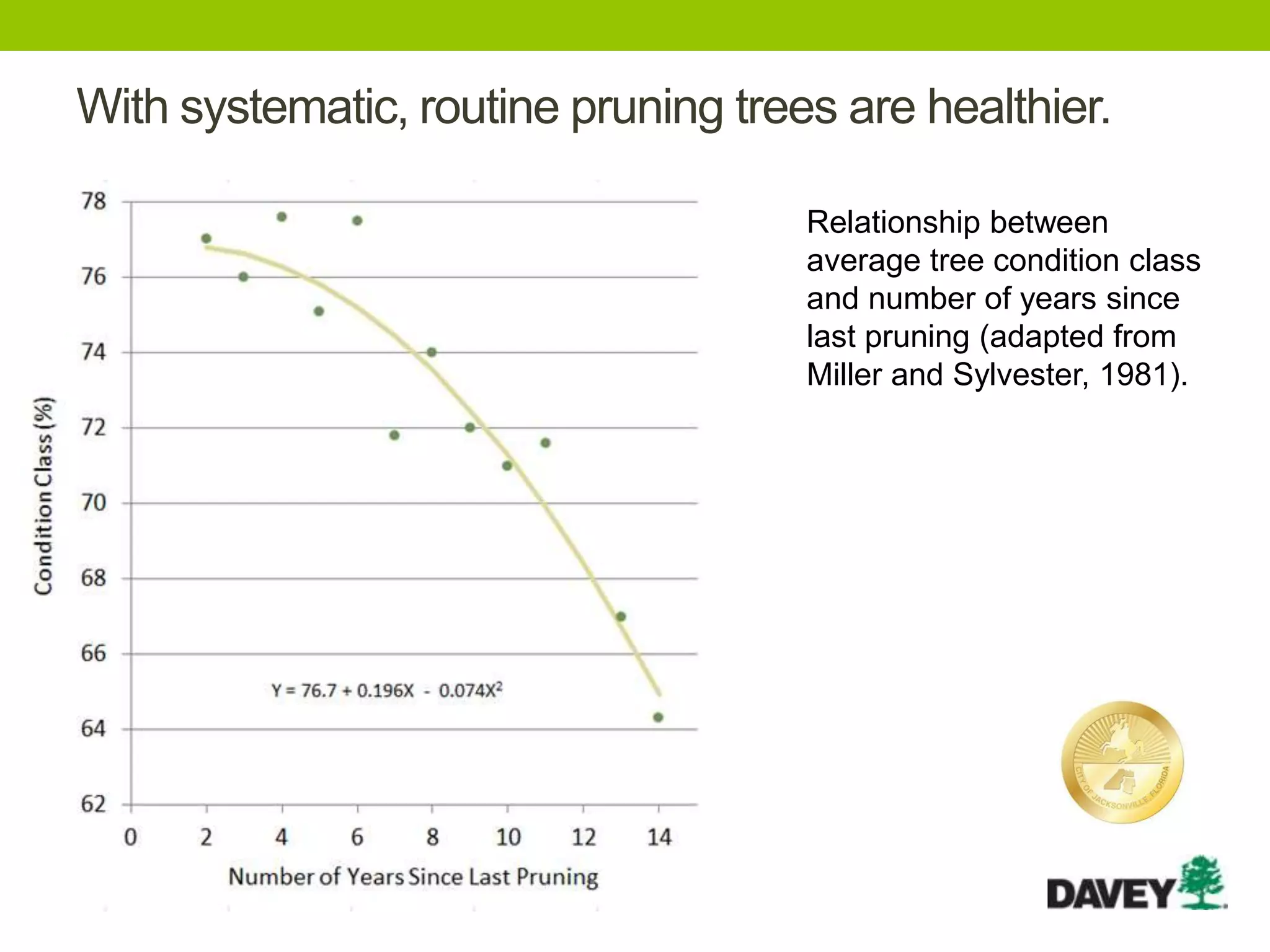 With systematic, routine pruning trees are healthier.
Relationship between
average tree condition class
and number of years since
last pruning (adapted from
Miller and Sylvester, 1981).
 