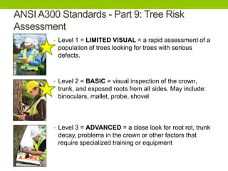 ANSIA300 Standards - Part 9: Tree Risk
Assessment
• Level 1 = LIMITED VISUAL = a rapid assessment of a
population of trees looking for trees with serious
defects.
• Level 2 = BASIC = visual inspection of the crown,
trunk, and exposed roots from all sides. May include:
binoculars, mallet, probe, shovel
• Level 3 = ADVANCED = a close look for root rot, trunk
decay, problems in the crown or other factors that
require specialized training or equipment
 