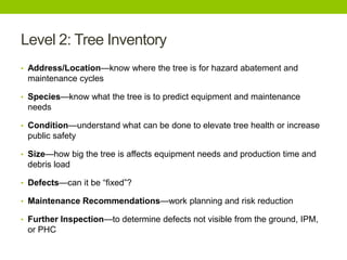 Level 2: Tree Inventory
• Address/Location—know where the tree is for hazard abatement and
maintenance cycles
• Species—know what the tree is to predict equipment and maintenance
needs
• Condition—understand what can be done to elevate tree health or increase
public safety
• Size—how big the tree is affects equipment needs and production time and
debris load
• Defects—can it be ―fixed‖?
• Maintenance Recommendations—work planning and risk reduction
• Further Inspection—to determine defects not visible from the ground, IPM,
or PHC
 