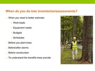 When do you do tree inventories/assessments?
• When you need to better estimate:
• Work loads
• Equipment needs
• Budgets
• Schedules
• Before you plant trees
• Before/after storms
• Before construction
• To understand the benefits trees provide
 