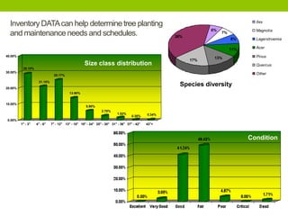 11%
8%
17%
13%
7%
38%
6%
Ilex
Magnolia
Lagerstroemia
Acer
Pinus
Quercus
Other
Inventory DATAcan help determinetree planting
and maintenance needs and schedules.
29.10%
21.10%
25.17%
13.90%
5.90%
2.70%
1.52%
0.30% 0.34%
0.00%
10.00%
20.00%
30.00%
40.00%
1" - 3" 4" - 6" 7" - 12" 13" - 18" 19" - 24" 25" - 30" 31" - 36" 37" - 42" 43"+
Size class distribution
Condition
Species diversity
 